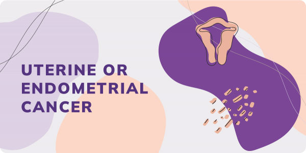 Uterine Endometrial Cancer – Australian Gynaecological Cancer Foundation